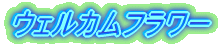 �E�F���J���t�����[